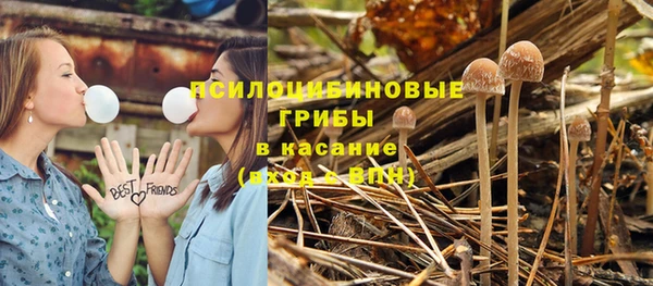 ALPHA PVP Дмитровск