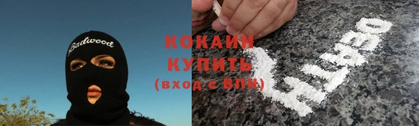 прущая мука Дмитриев