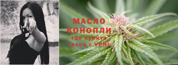 прущая мука Дмитриев