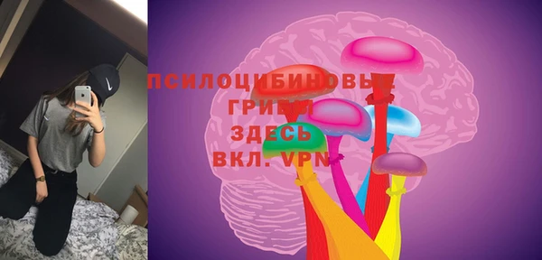ALPHA PVP Дмитровск