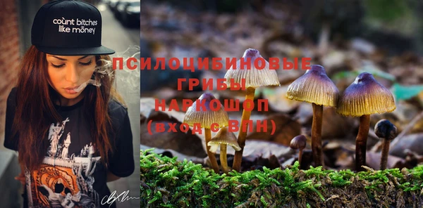 прущая мука Дмитриев
