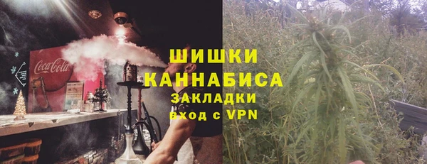 прущая мука Дмитриев