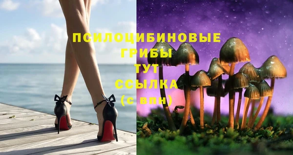 марки lsd Елабуга