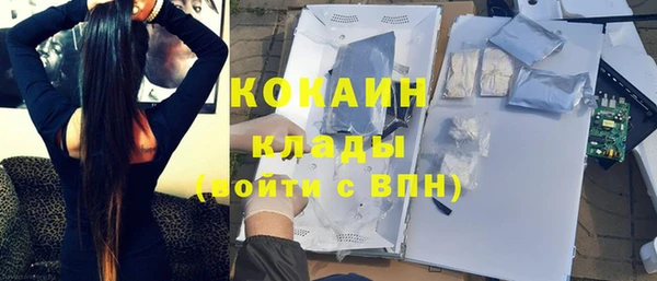 дмт Дмитров