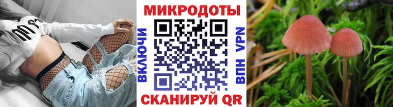 дарнет шоп  Свободный  Псилоцибиновые грибы Psilocybine cubensis 