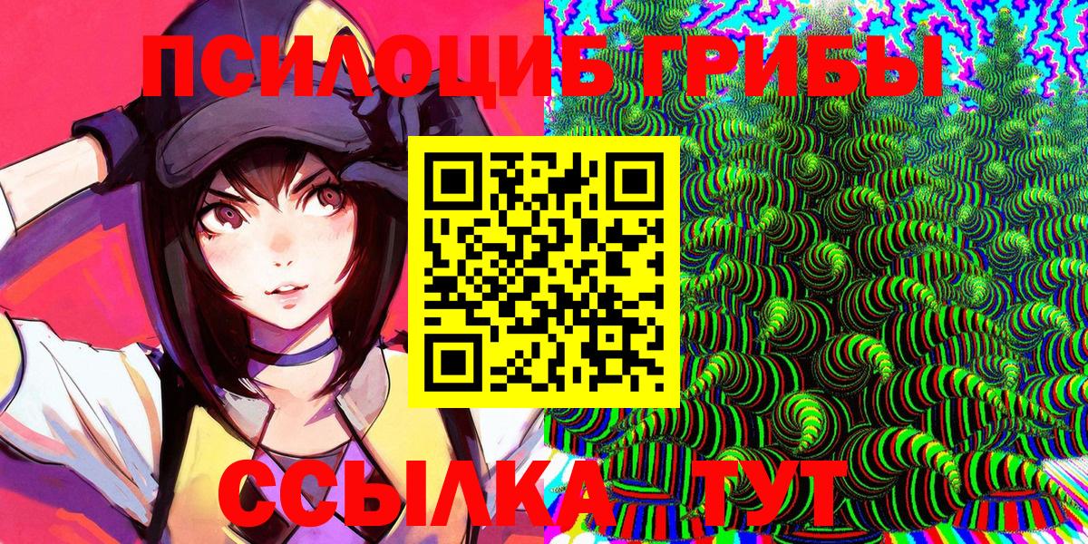 Свободный  Псилоцибиновые грибы мухоморы  Вход с VPN 