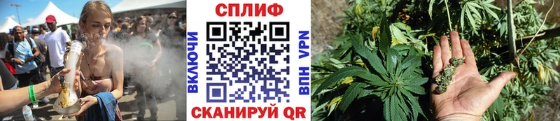 купить  сайты  Свободный  Канабис Bruce Banner 